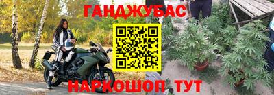прущие крисы Кулебаки