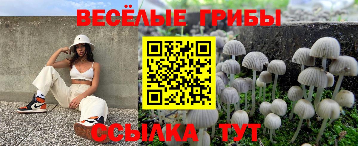 купить   Вход с VPN  Жигулёвск  Псилоцибиновые грибы MAGIC MUSHROOMS 